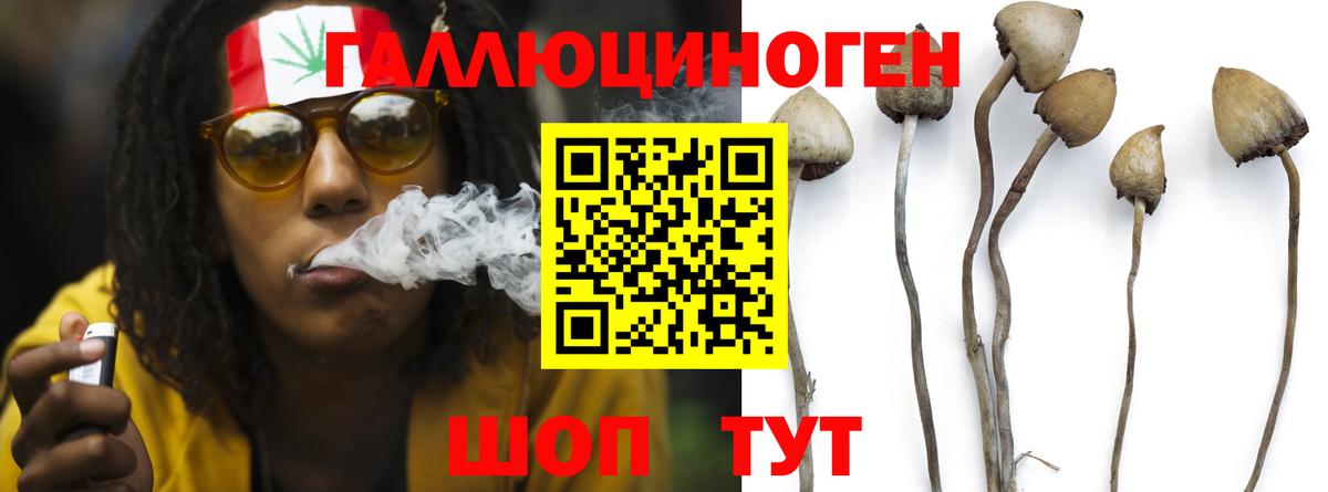 Лиски  Псилоцибиновые грибы Psilocybe  Галлюциногенные грибы GOLDEN TEACHER  Вход с VPN 